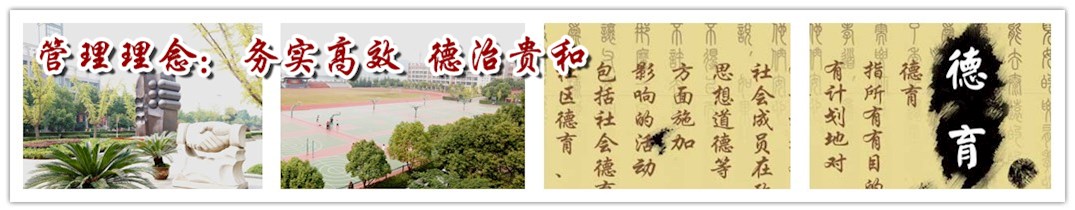 市级德育品牌